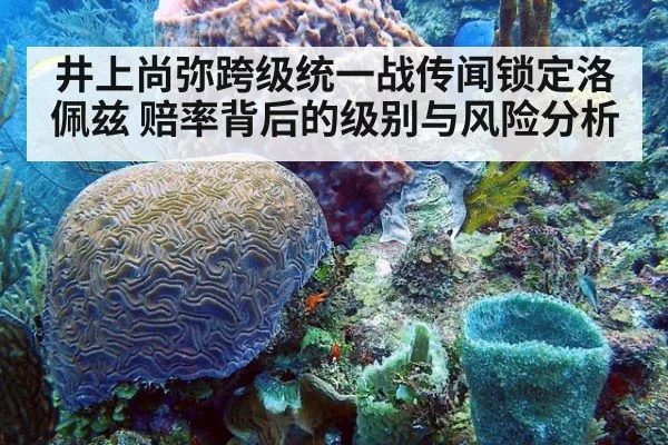 井上尚弥跨级统一战传闻锁定洛佩兹 赔率背后的级别与风险分析